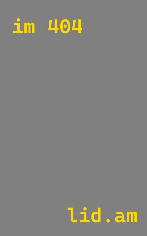 Импорт автомобилей Skoda из Китая с доставкой в Искитим